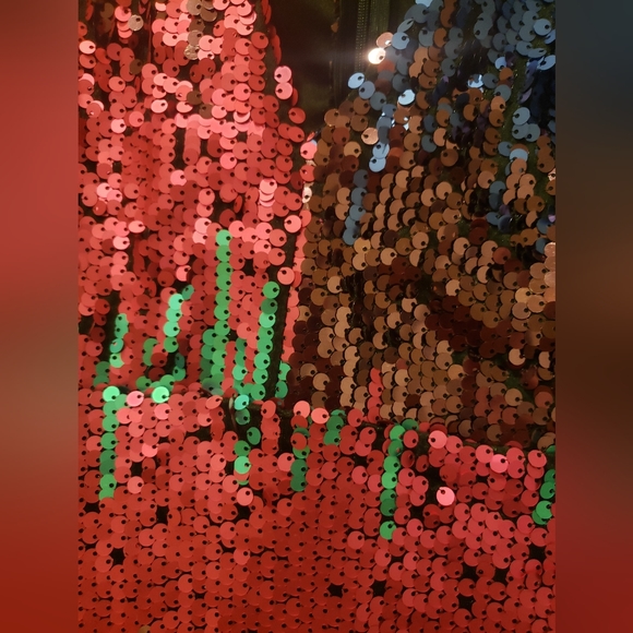 Southern Fried Chics. Sequin dress! GORG colors! Size XXL - Picture 4 of 6